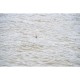 Preston 1.00 Gr Kerry Pole Rig 0.14 mm Size 18