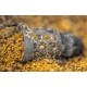 Preston Hexmesh Plastic Bullet Feeder Large 40 gr