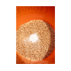 Sonubaits Maggot GLUE