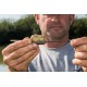Matrix Inline Maggot Feeder Large 30 gr